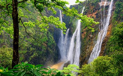 indien, 4k, vattenfall, sommar, skog, djungel, vacker natur, asien, indisk natur