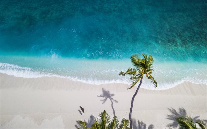 maldivas, 4k, oceano, ilhas tropicais, vista de cima, maldivas vista aérea, costa, palmeiras, praia
