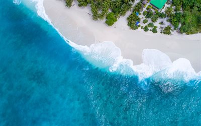 ocean, aerial view, tropical islands, beach, palm trees, islands, summer travel, Maldives