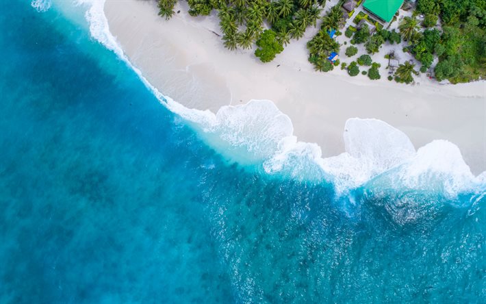 oceano, vista aérea, ilhas tropicais, praia, palmeiras, ilhas, viagens de verão, maldivas