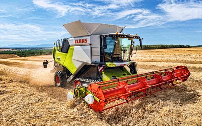 Claas Trion 660, 4k, combine harvester, 2022 combines, straw, wheat harvest, harvesting concepts, agriculture concepts, Claas