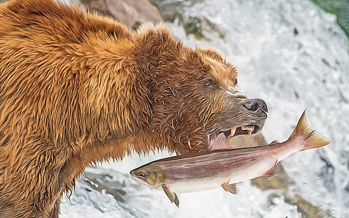 grizzly, 4k, arte vectorial, alaska, el oso atrapa salmón, dibujos de osos, dibujos grizzly, depredador, osos, vida silvestre