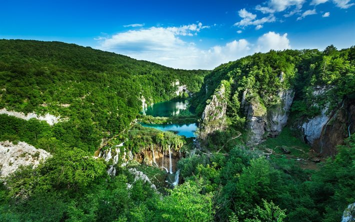 croácia, parque nacional dos lagos plitvice, floresta, verão, montanhas
