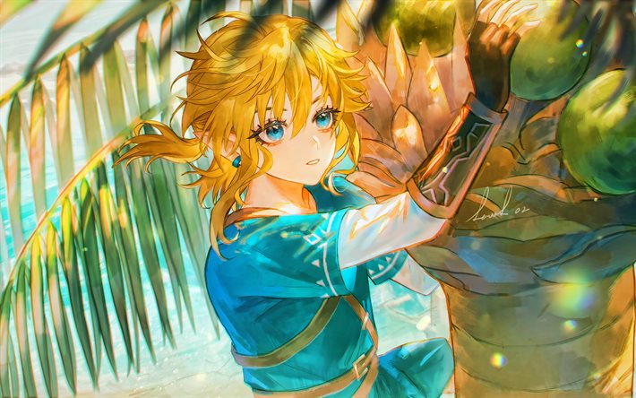 Link, Zelda no Densetsu, portrait, Japanese manga, anime characters, main characters, Link character, Zelda no Densetsu main characters