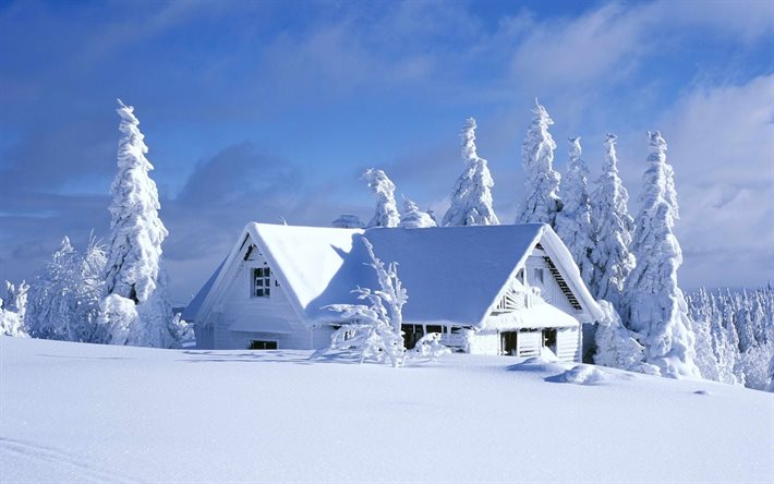 winter, the sky, snow, drifts, tree, lodge, christmas tree, the house, sky