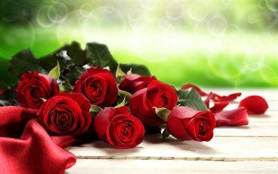 red roses, bouquet of roses, rose petals, flower bouquets