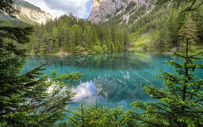hermoso lago, montaña, bosque, lagos de montaña, Turquesa, azul lago, Austria