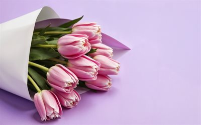 4k, tulipes roses, gros plan, fleurs de printemps, bouquet de tulipes, belles fleurs, bouquet rose, tulipes, bouquet des mariées, printemps, contexte avec tulipes