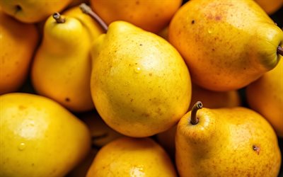 4k, peras amarillas, macro, frutas frescas, bokeh, de cerca, frutas maduras, peras maduras, fondo con peras, frutas, peras