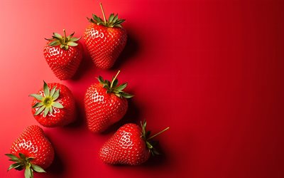 fresas sobre un fondo rojo, 4k, fresas, fondo rojo, frutas, fresas premium, frutas saludables