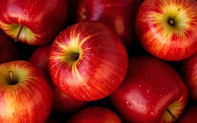 4k, manzanas rojas, rocío, frutas frescas, bokeh, de cerca, gotas de agua, frutas maduras, manzanas maduras, fondo con manzanas, frutas, manzanas