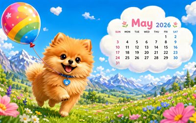 4k, kalender mai 2026, pommerscher spitz, bunter ballon, rasenfläche, gebirge, mai 2026, frühlingskalender, spitz, frühling, mai kalender, kalender 2026, mai
