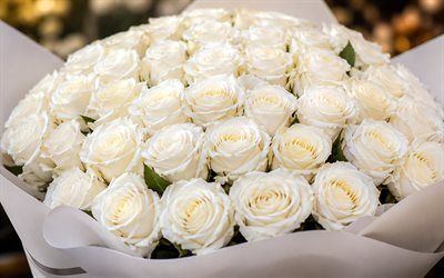 white roses, 4k, bokeh, bouquet of roses, white paper, beautiful flowers, white buds, background with roses, white flowers, roses
