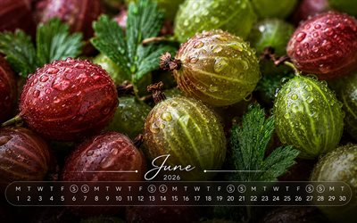 2026 June Calendar, 4k, gooseberry, ripe fruits, June 2026, summer calendars, June 2026 Calendar, summer, June calendars, 2026 calendars, June