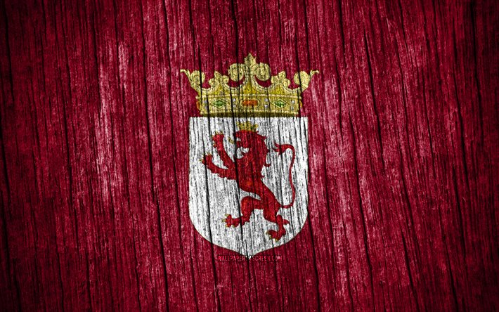 4K, Flag of Leon, Day of Leon, spanish provinces, wooden texture flags, Leon flag, Provinces of Spain, Leon, Spain