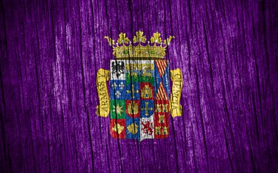 4k, bandiera di palencia, giorno di palencia, province spagnole, bandiere di struttura in legno, province della spagna, palencia, spagna