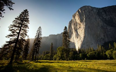 4k, Yosemite National Park, forest, rocks, summer, mountains, California, America, USA, beautiful nature, american landmarks