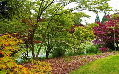 deşarj püskürtme, vancouver, Botanik Bahçesi, bahçe, Botanik, Vancouver, Kanada