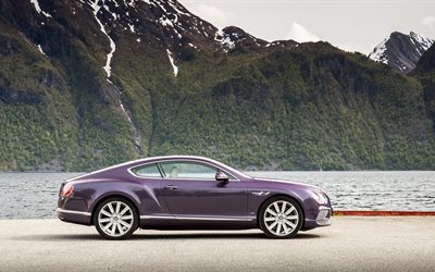 w12, continental, grey violet, bentley, 2016, coupe, nature, profile