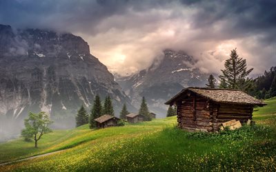 the house, nature, mountains, grass, fog, grindelwald, switzerland