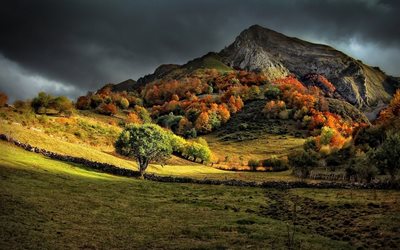 nature, grass, mountain, landscape, trees, fall, forest, dark, mountains, clouds