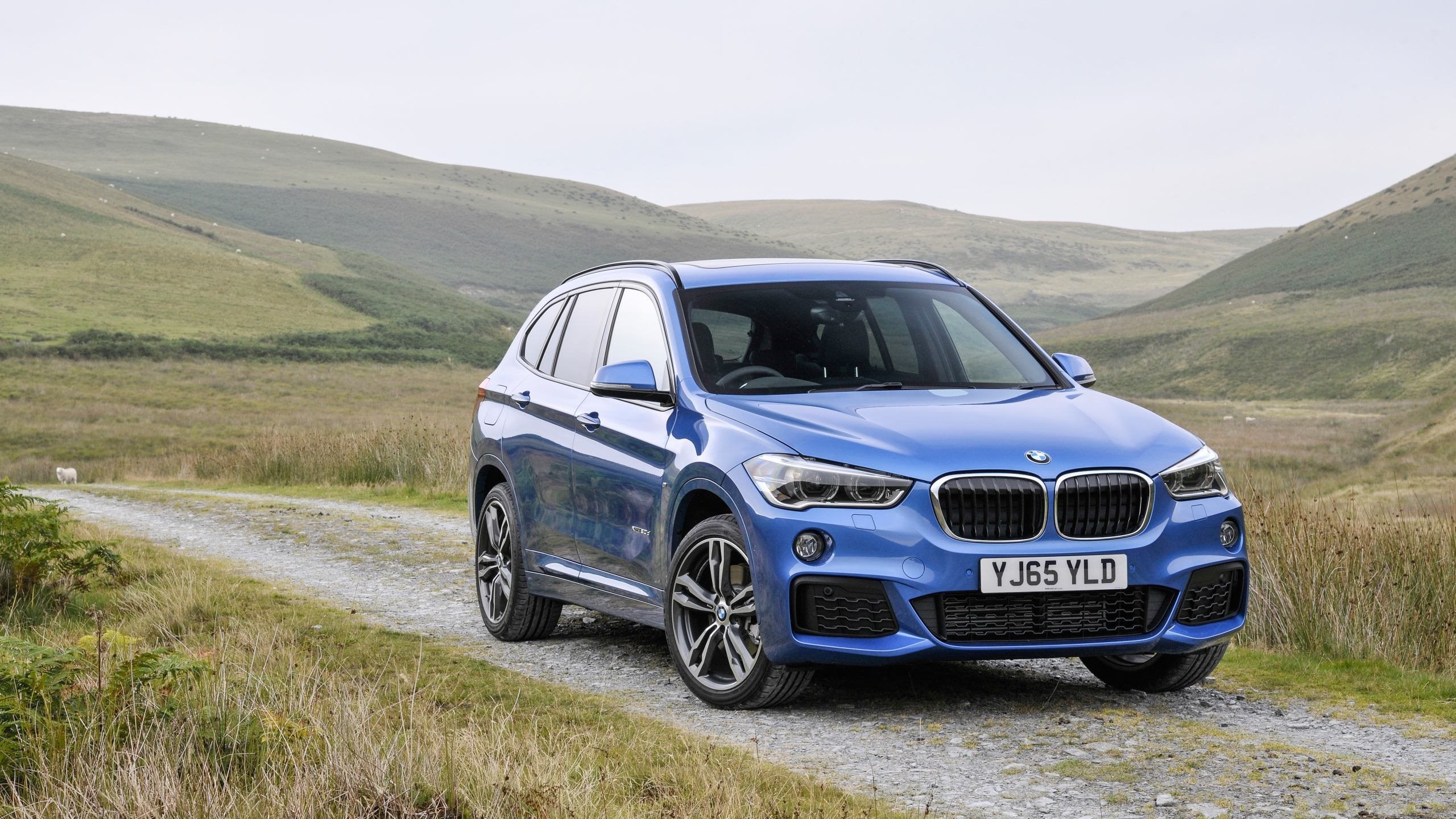 下载壁纸 蓝色, 体育运动, xdrive20d, 宝马, 2016, 新项目, suv 显示