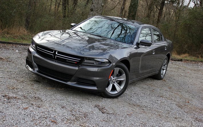 2015, dodge charger, dodge, o charger, muscle car, sedan