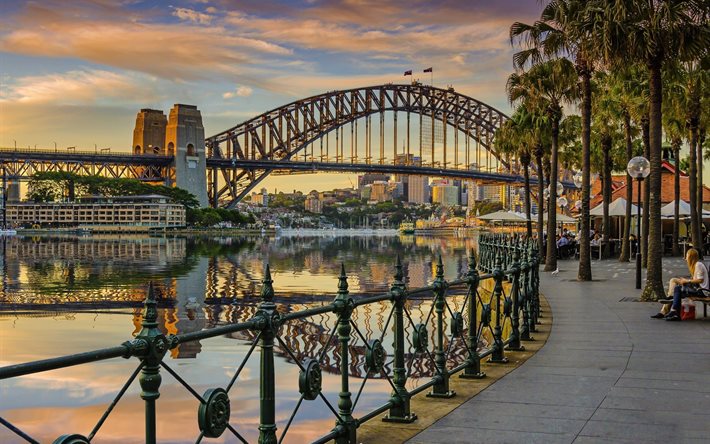 il ponte, il lungomare, la palma, la città, sydney, australia