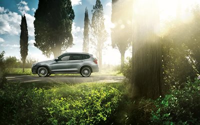 crossover, natura, lato, vista