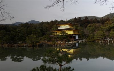 japan, golden temple, trees, the temple, water, the building, kyoto