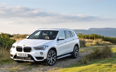 xline, white, 25d, bmw, crossover, 2016, nature