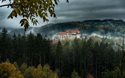 nature, forest, pernstejn, trees, czech republic, hill, castle, pine trees, landscape, branch, architecture, leaves, fall, mist, hdr