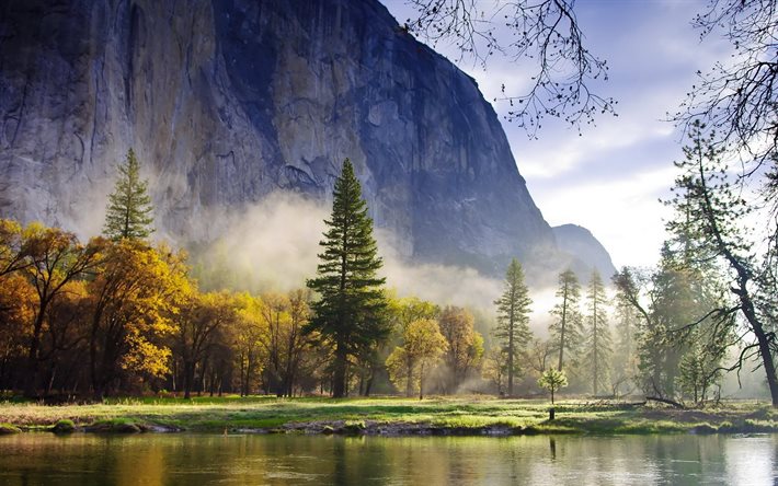 la foresta, la roccia, il fiume, la natura, il paesaggio