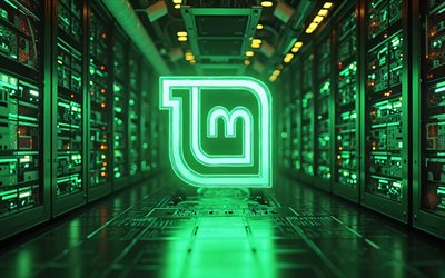 4k, Linux Mint green neon logo, darkness, creative, OS brands, datacenter racks, bokeh, artwork, Linux Mint logo, brands logo, Linux Mint neon logo, Linux Mint, brands, Linux