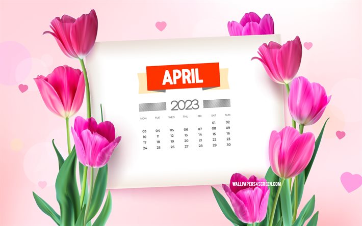4k, 2023年4月カレンダー, 春のテンプレート, 紫色のチューリップと春の背景, 4月, 2023年春のカレンダー, 2023年のコンセプト, ピンクのチューリップ