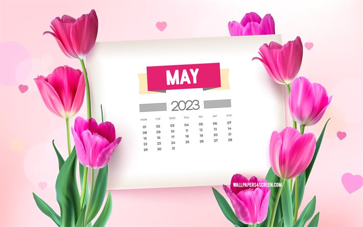 4k, 2023年5月カレンダー, 春のテンプレート, 紫色のチューリップと春の背景, 5月, 2023年春のカレンダー, 2023年のコンセプト, ピンクのチューリップ