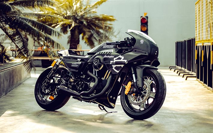 FBD X SLAYER, Harley-Davidson Lamborghini, side view, exterior, black motorcycle, american motorcycles, Harley-Davidson