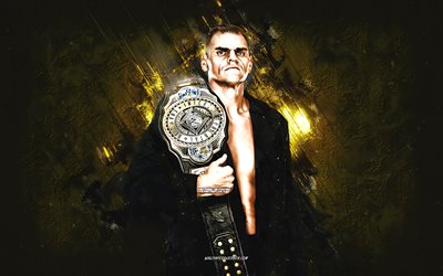 gunther, wwe, lutador americano, fundo de pedra dourada, o anel geral, grande papai walter, campeão intercontinental da wwe, arte grunge, eua, luta livre, walter hahn, guntherwwe, entretenimento de luta livre mundial