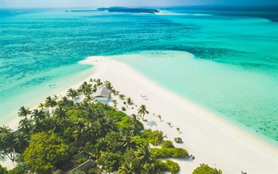 Maldives, tropical islands, aerial view, Indian Ocean, palm trees, paradise, luxury beach, summer travel, vacation, relaxation