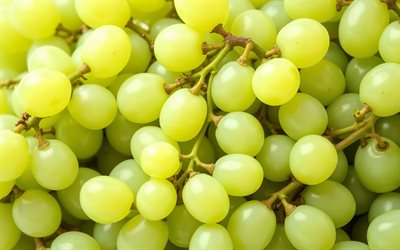 raisins blancs, macro, gros plan de raisins, raisins blancs de première qualité, fruits, fond avec des raisins, raisins mûrs