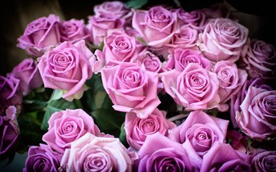 분홍색 roses, 로즈는 꽃다발, 큰 꽃다발, 부분, 미