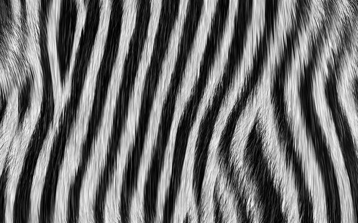 zebra derisi, makro, zebra arka planları, zebra kürkü, zebra derisi dokuları, kürk dokuları