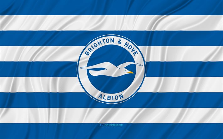 Brighton Hove Albion FC, 4K, blue white wavy flag, Premier League, football, 3D fabric flags, Brighton Hove Albion flag, soccer, Brighton Hove Albion logo, english football club, FC Brighton Hove Albion