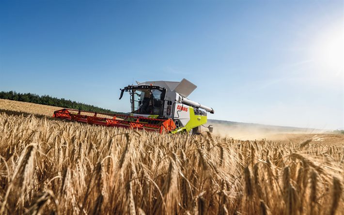 Claas Trion 730, combine harvester, 2022 combines, straw, wheat harvest, harvesting concepts, agriculture concepts, Claas