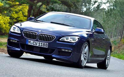 coupe, 650i, 6 series, bmw, blue, 2015, track, front view