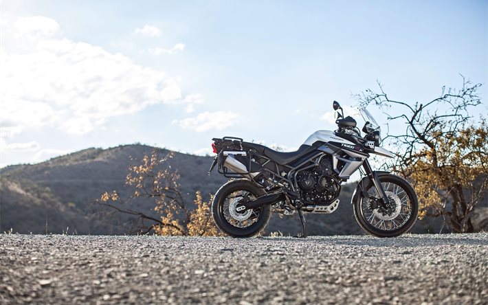 motocicleta, xca, 800, novo tigre, triunfo, 2016