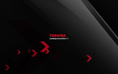 toshiba, download, saver