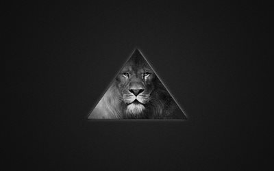 leão, triângulo, minimalismo