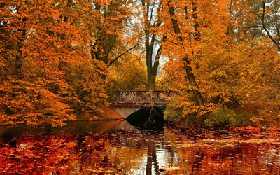 löv, sjön, parken, höstlandskapet, bron