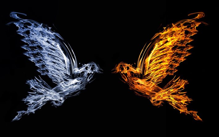 birds, abstraction, fire, water, black background